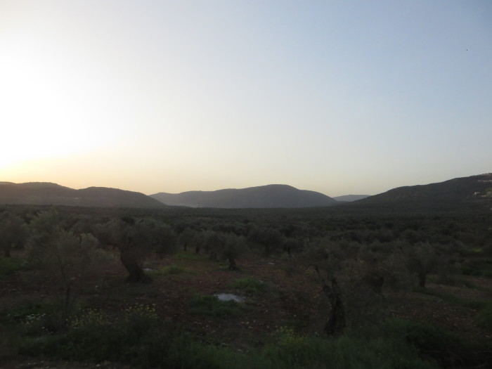 The View from the Kibbutz