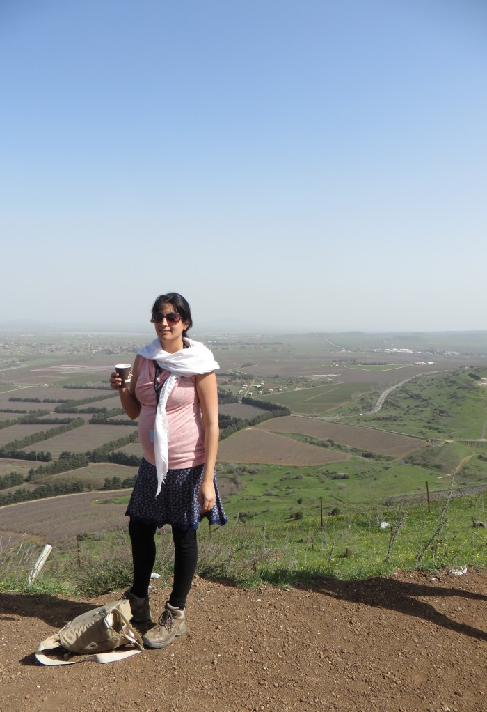 Our tour guide, Hadas, explaining the importance of the Golan Heights